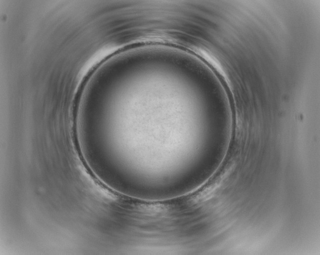 X0000089461045200706151429