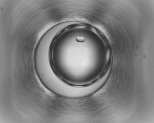 X0000089461046200706151429
