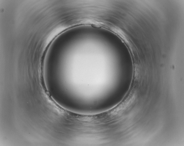 X0000089461048200706151429