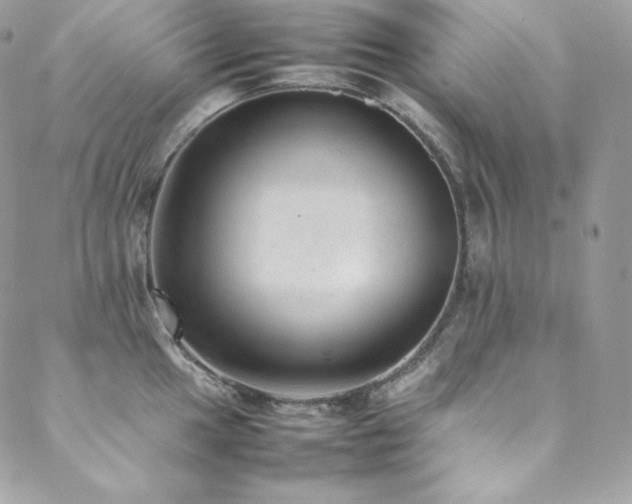 X0000089461049200706151429