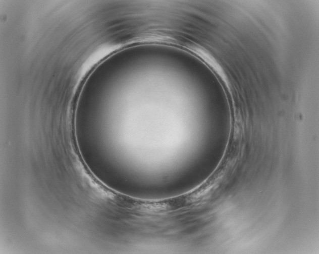 X0000089461053200706151429