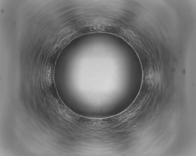 X0000089461060200706151428