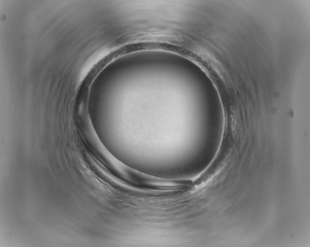 X0000089461069200706151428