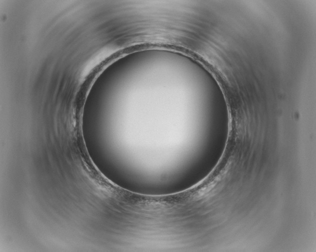 X0000089461070200706151428