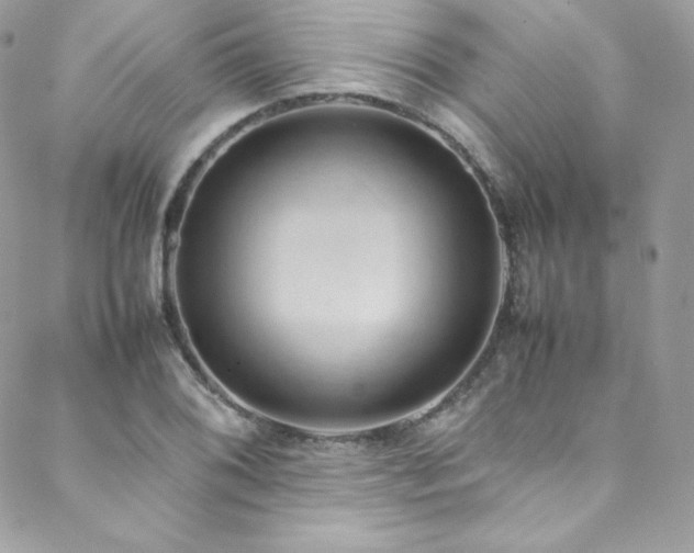 X0000089461076200706151428