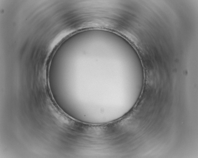 X0000089461078200706151428