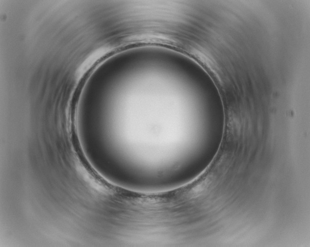 X0000089461082200706151428