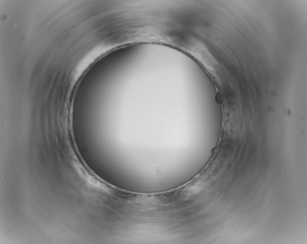 X0000089461094200706151428