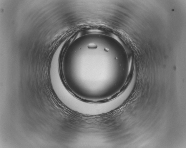 X0000089461110200706151427