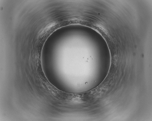 X0000089461111200706151427
