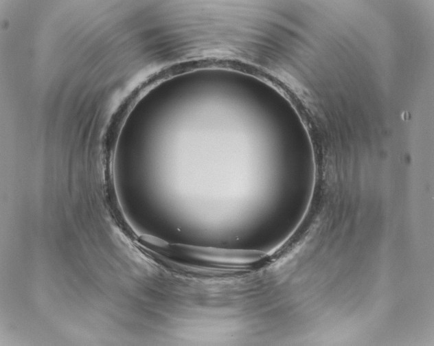 X0000089461118200706151427