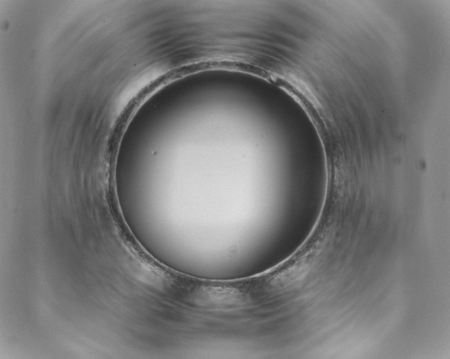 X0000089461119200706151427