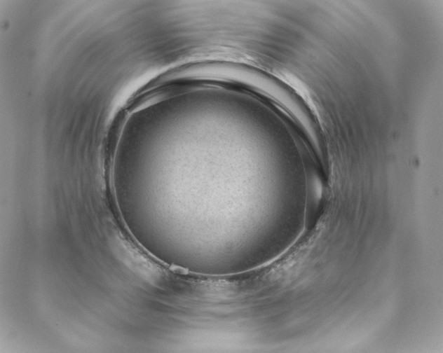 X0000089461120200706151427