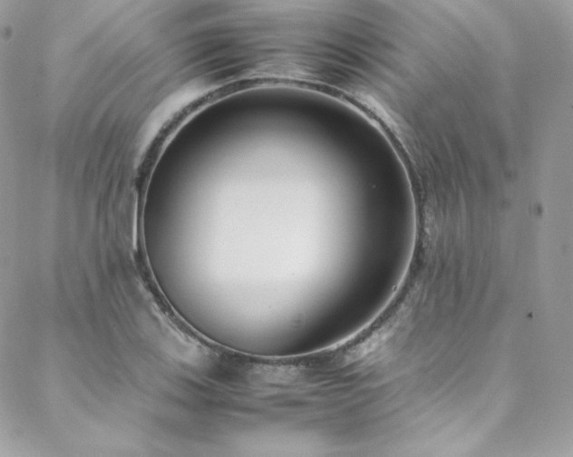 X0000089461123200706151427
