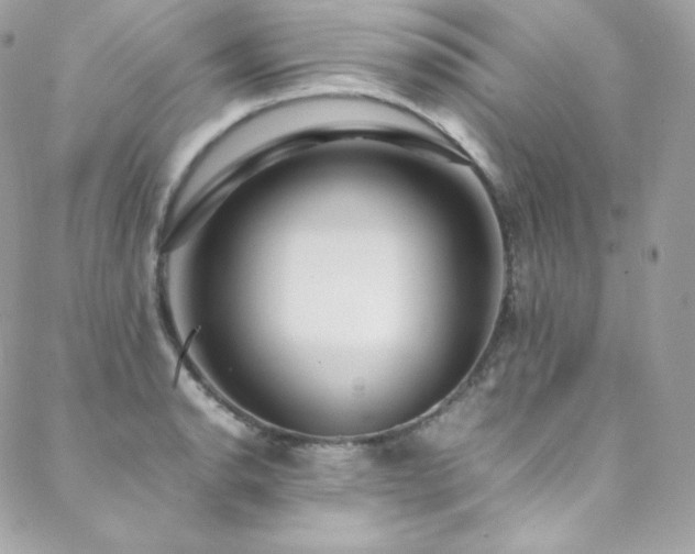 X0000089461134200706151427
