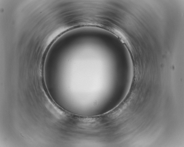 X0000089461141200706151427