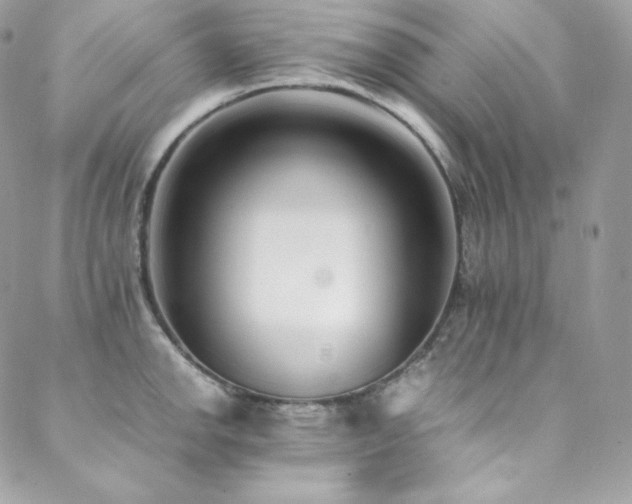 X0000089461142200706151427