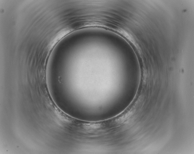 X0000089461145200706151427