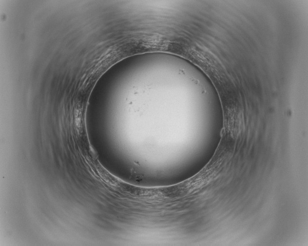 X0000089461154200706151427