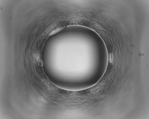 X0000089461155200706151427