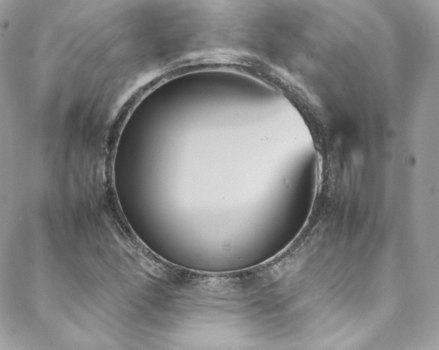 X0000089461166200706151426