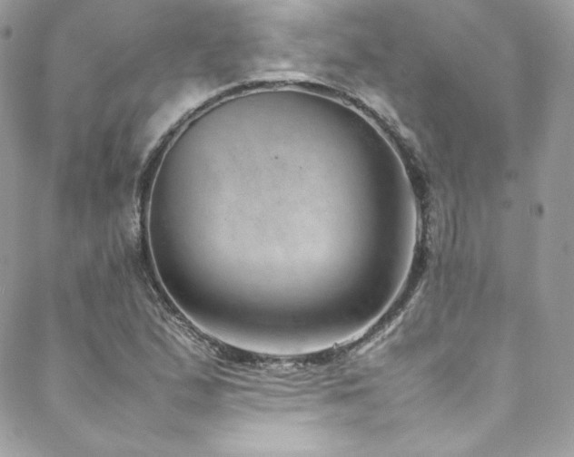 X0000089461167200706151426