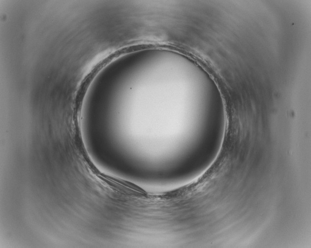 X0000089461168200706151426