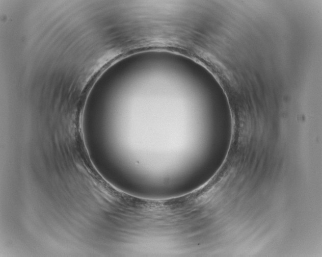 X0000089461170200706151426