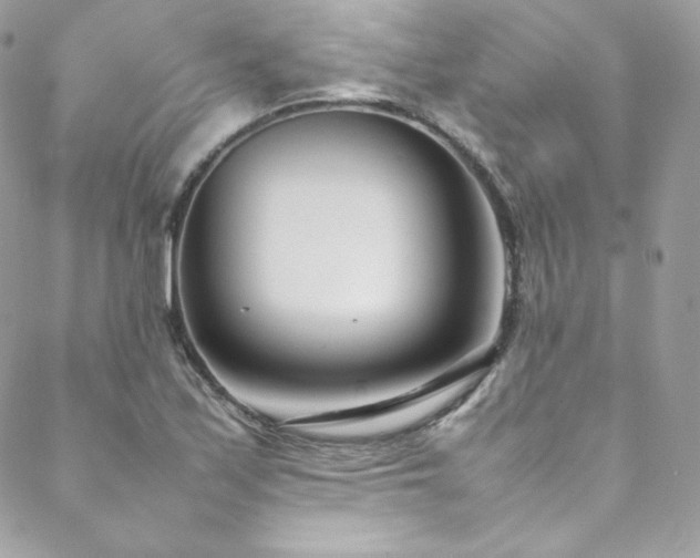 X0000089461171200706151426