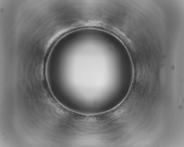 X0000089461174200706151426