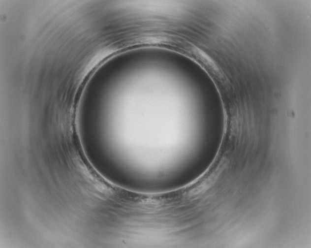 X0000089461178200706151426