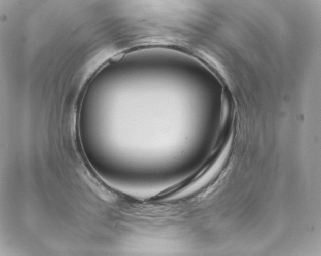 X0000089461179200706151426