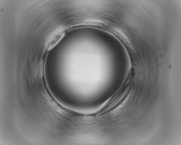 X0000089461180200706151426