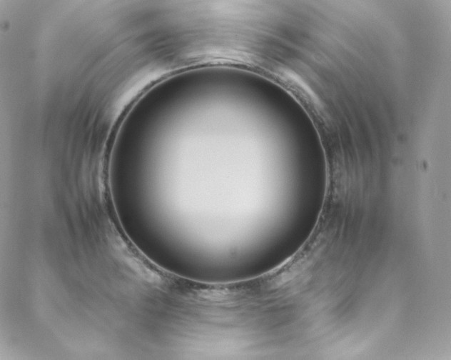 X0000089461182200706151426