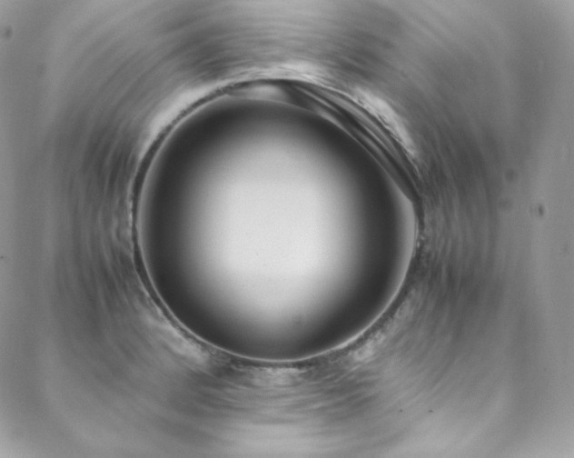 X0000089461184200706151426