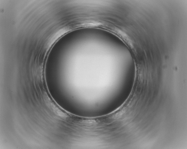 X0000089461186200706151426