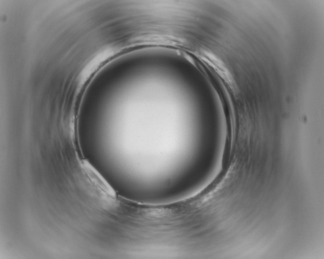 X0000089461188200706151426