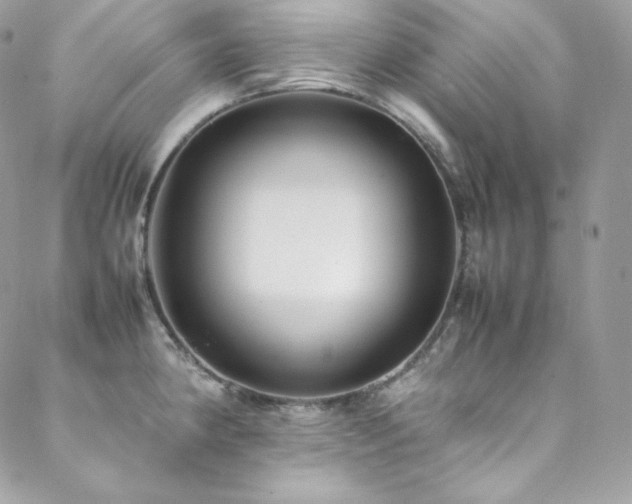 X0000089461190200706151426