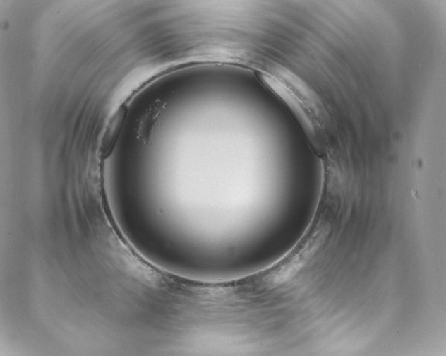 X0000089461192200706151426