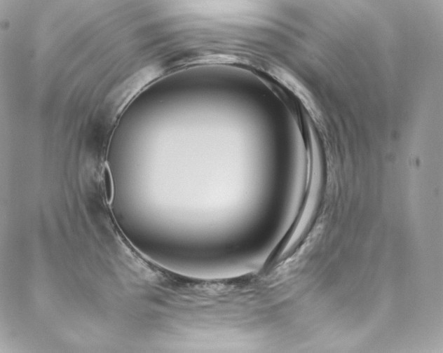 X0000089461193200706151426