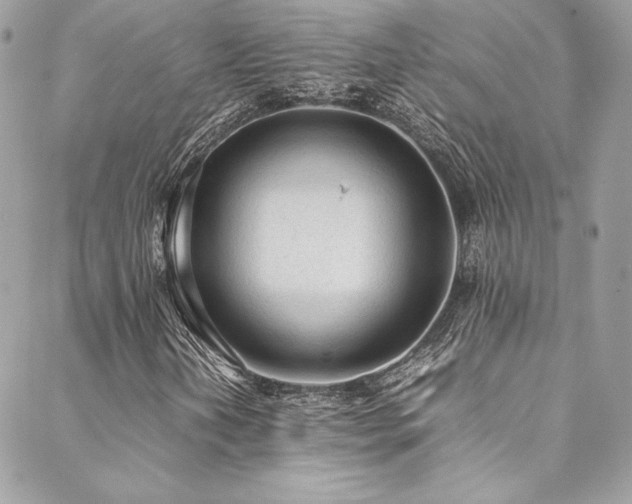 X0000089461202200706151425