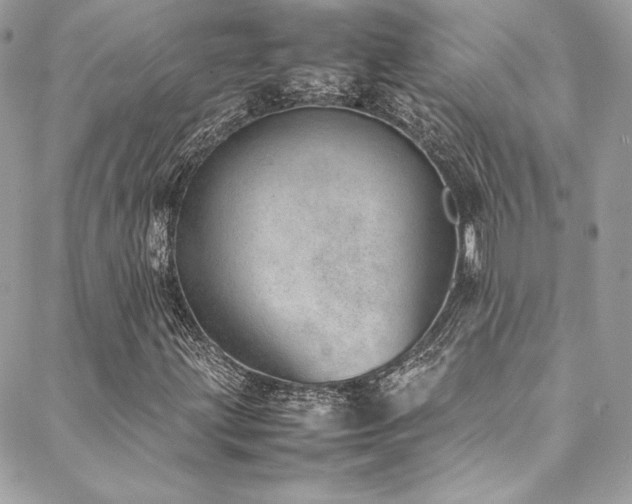 X0000089461203200706151425
