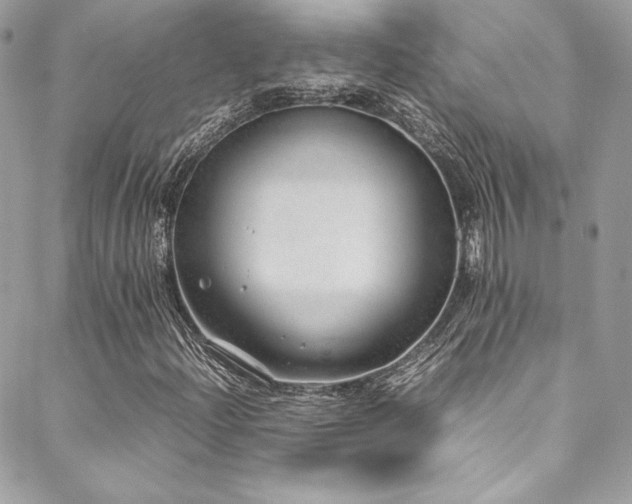 X0000089461204200706151425