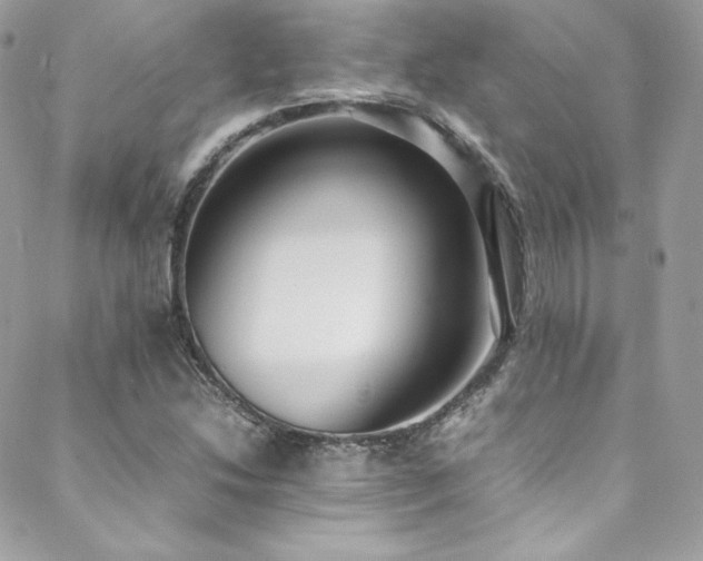 X0000089461214200706151425