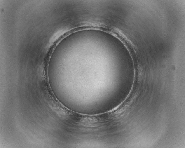 X0000089461215200706151425