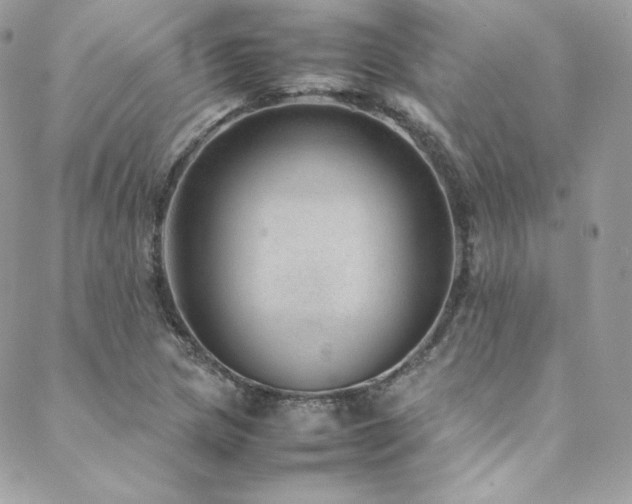 X0000089461217200706151425