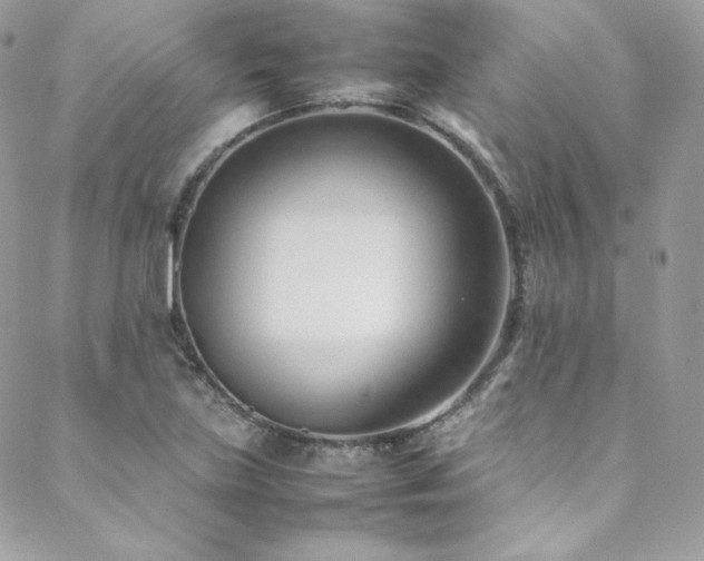 X0000089461219200706151425