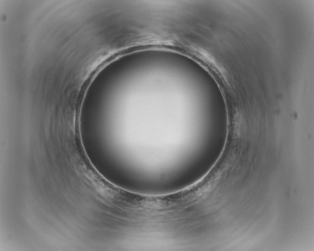 X0000089461220200706151425