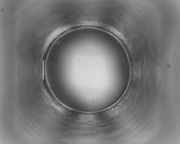 X0000089461223200706151425