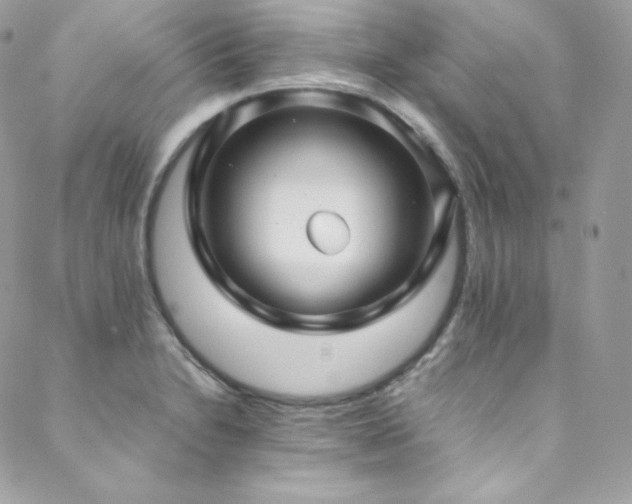 X0000089461230200706151425